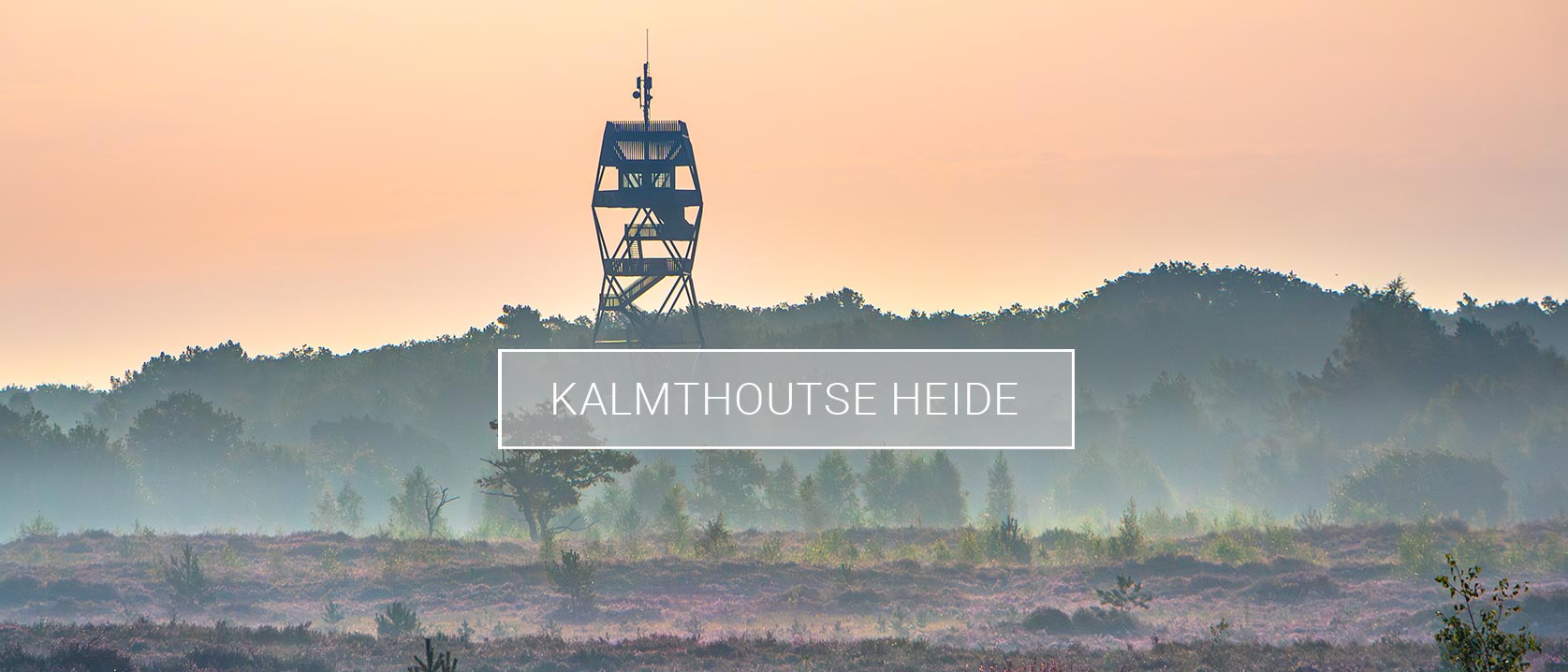 Albumheader van fotoalbum Kalmthoutse Heide