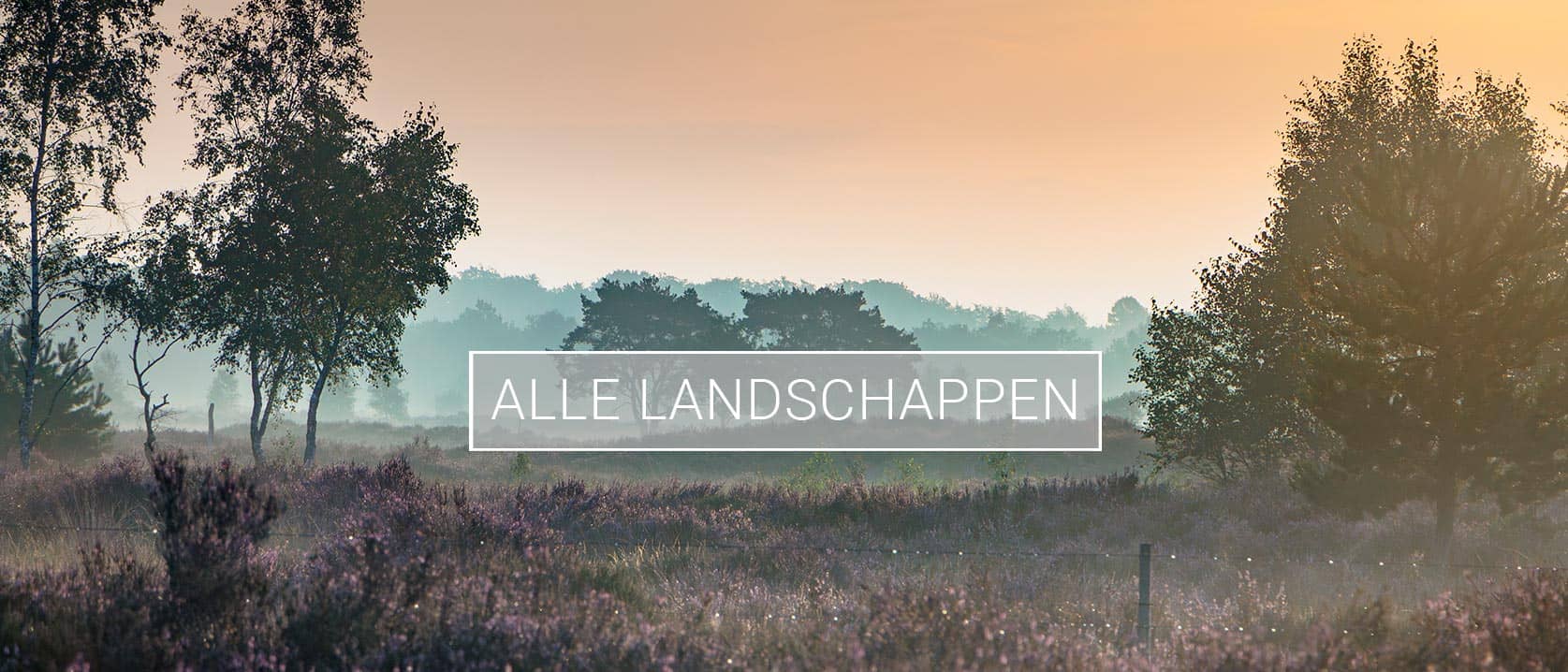 Albumheader van fotoalbum Alle landschappen