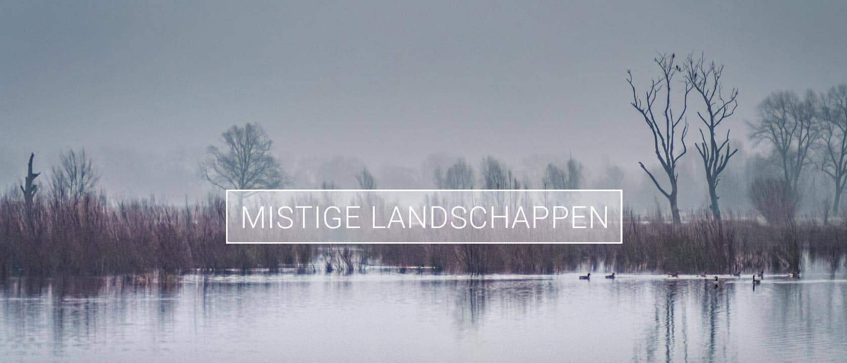 Albumheader van fotoalbum Mistige landschappen