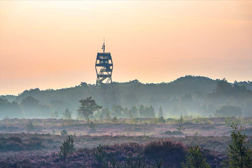 Thumbnail voor fotoalbum Kalmthoutse Heide