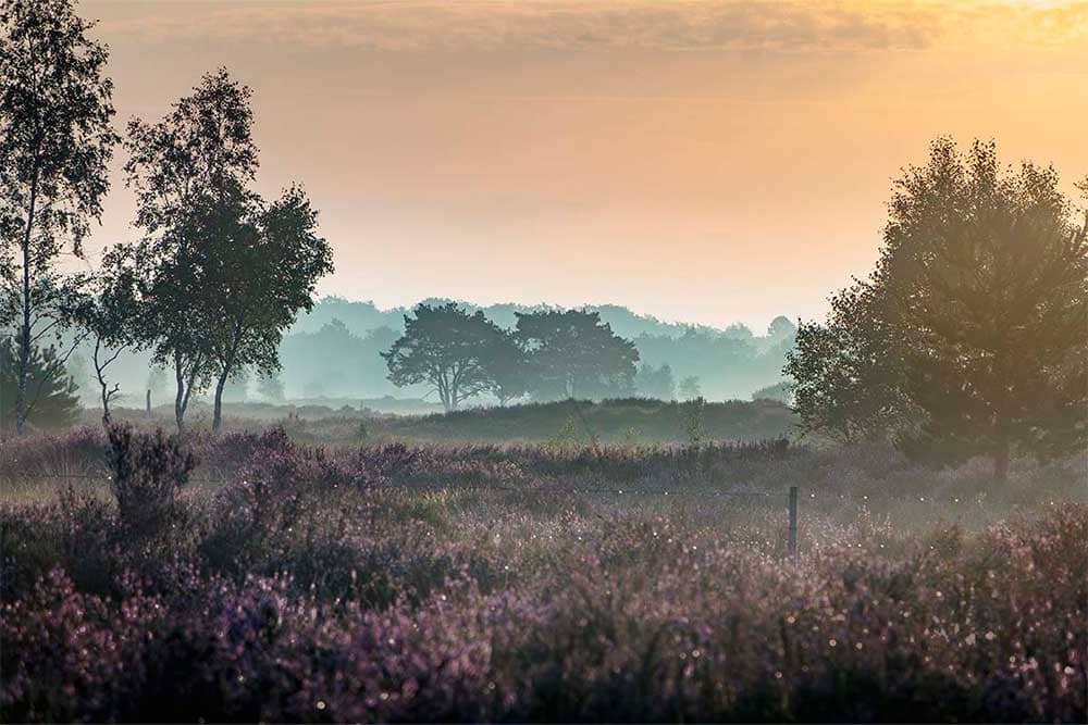 Thumbnail voor fotoalbum Alle landschappen