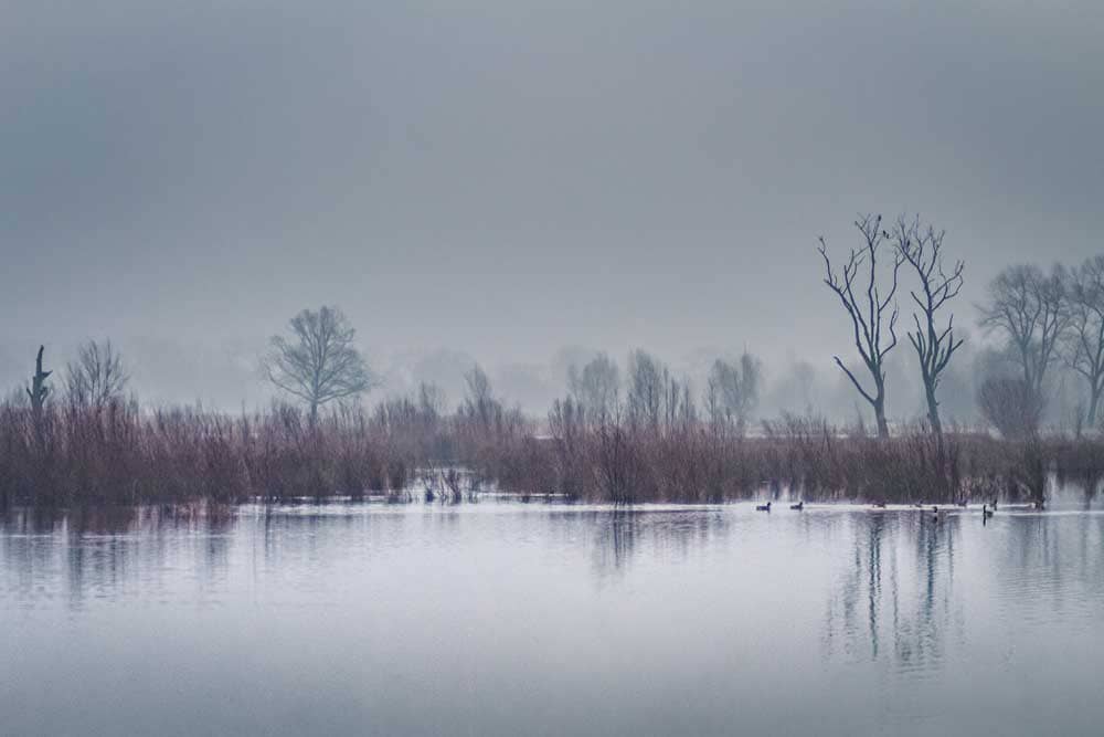 Thumbnail voor fotoalbum Mistige landschappen