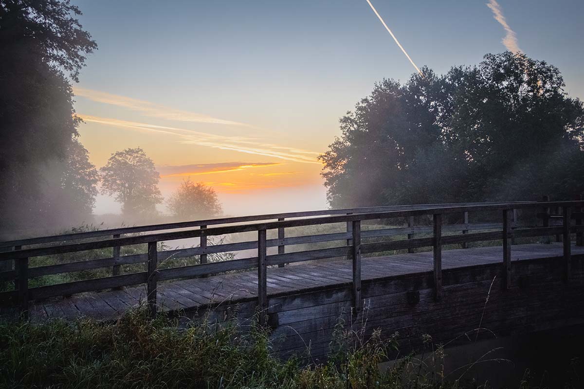 Houten brugje tijdens een mistige zonsopkomst