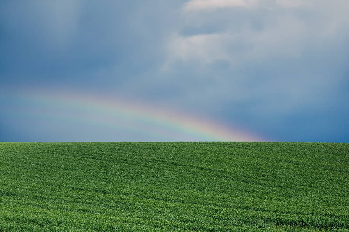 Heldergroen weideland met donkere w0lken en regenboog | Landschap