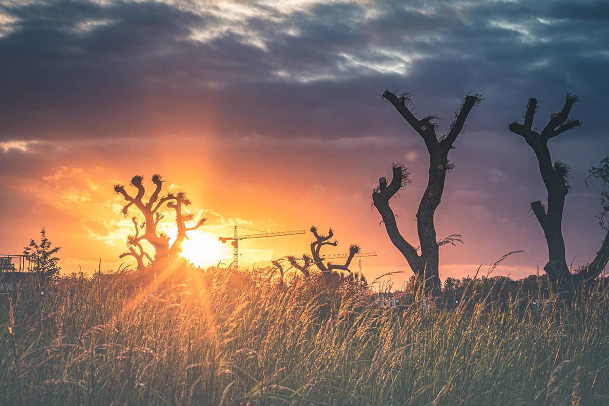 Prachtige kleurrijke zonsondergang