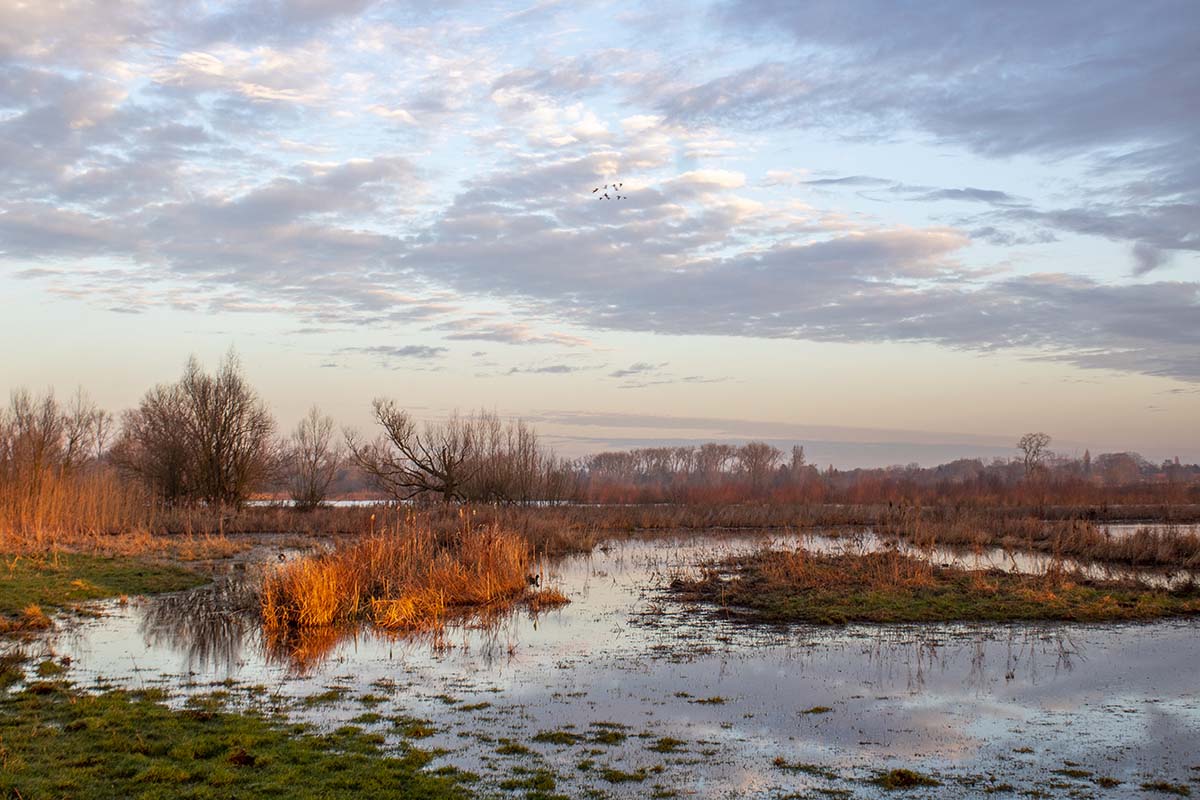 Een zonnige winterochtend in de Gentse Bourgoyen