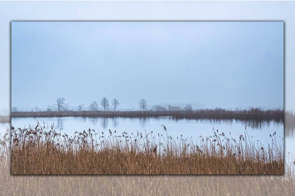 Mistig ochtendgloren | Landschap | Panorama