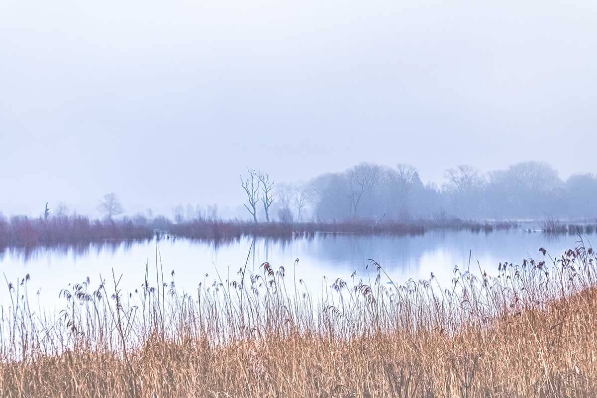 Op een mistige ochtend in Bourgoyen-Ossemeersen | Landschap