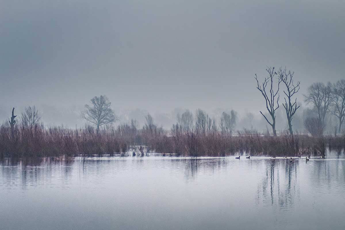 Somber mistig landschap