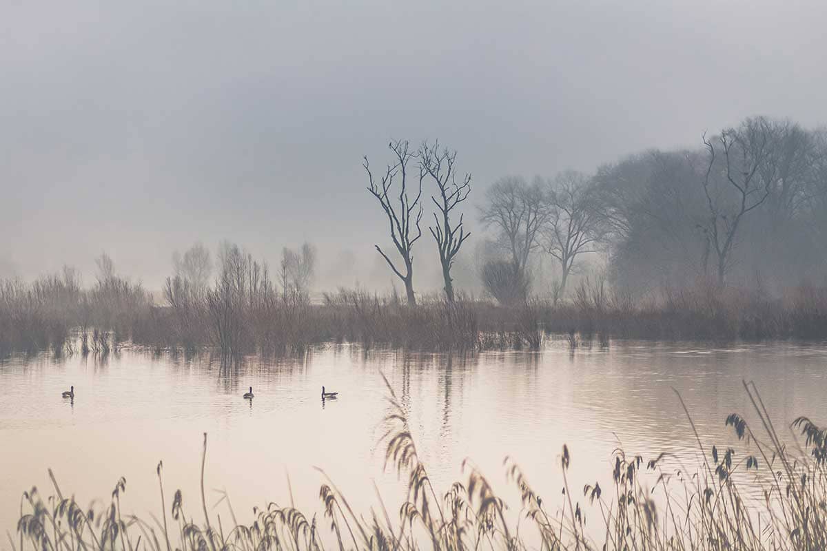 Mistige dageraad | Landschap