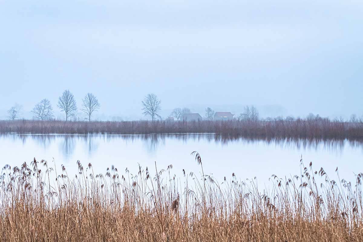 Mistig ochtendgloren | Landschap