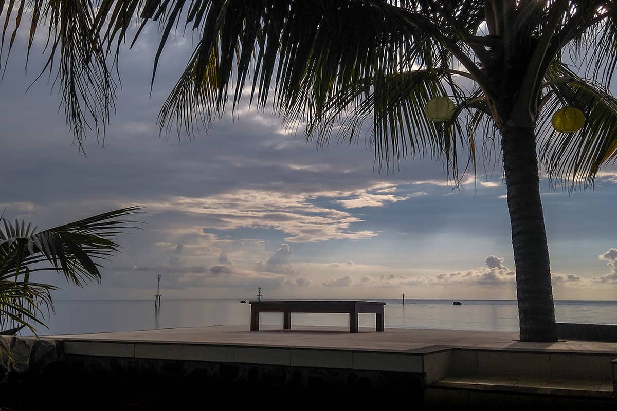 Zicht op de Balizee met palmboom in Lovina Beach | Reisfotografie