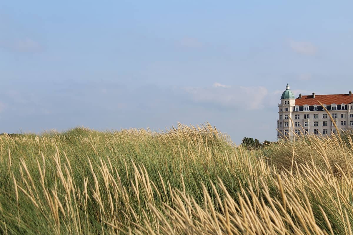 Zeebrugse duinen