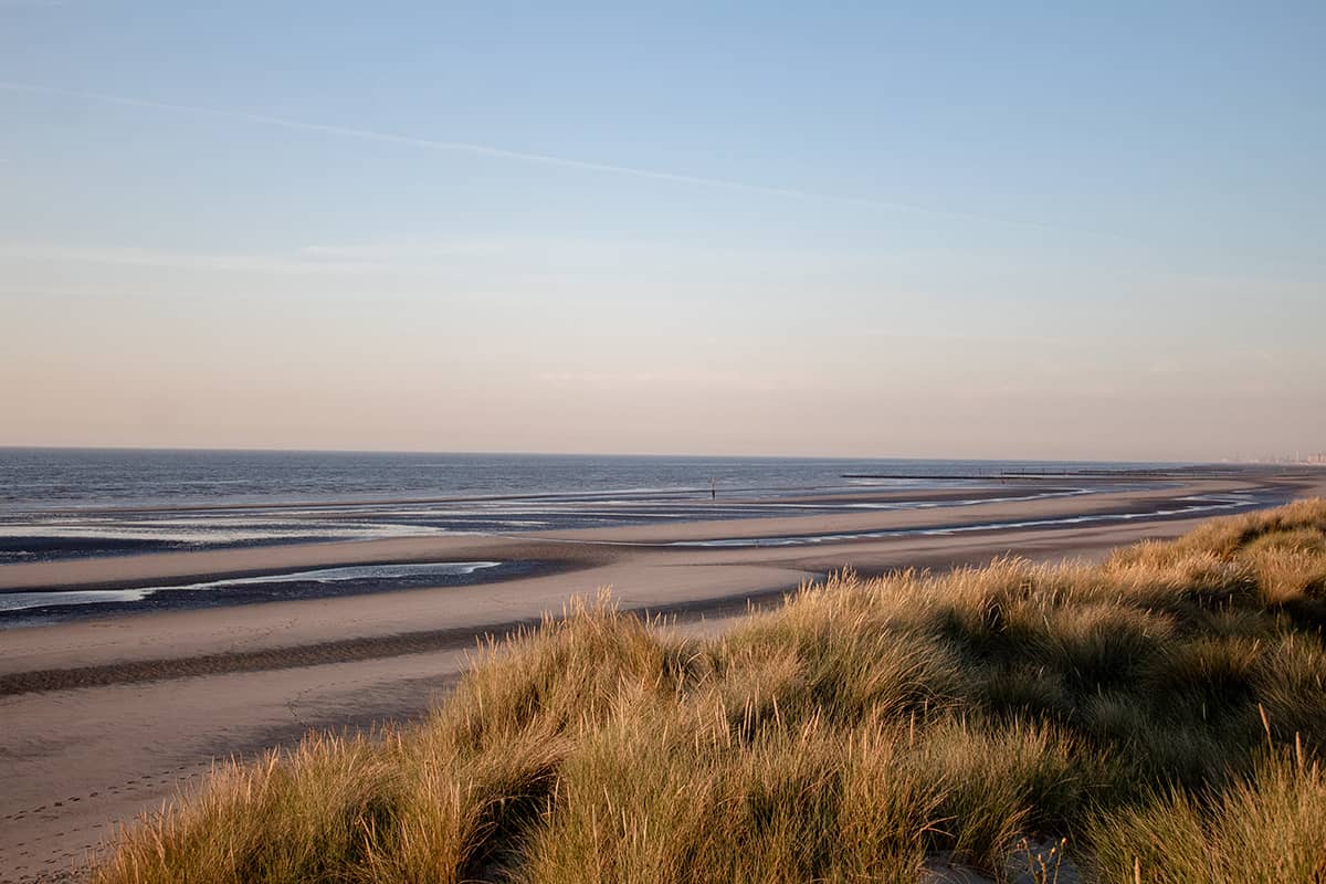 Goudverlichte duinen van Nieuwpoort | Landschap