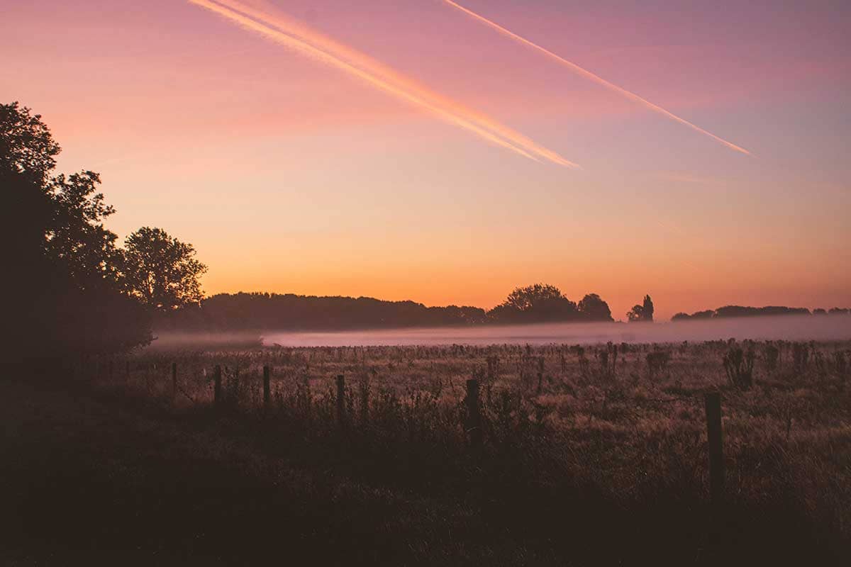 Zonsopgang in Natuurreservaat Bourgoyen-Ossemeersen Gent