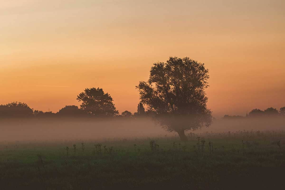 Zonsopgang in Natuurreservaat Bourgoyen-Ossemeersen Gent