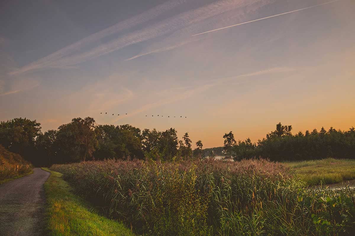 Ochtendgloren in Natuurreservaat Bourgoyen-Ossemeersen Gent