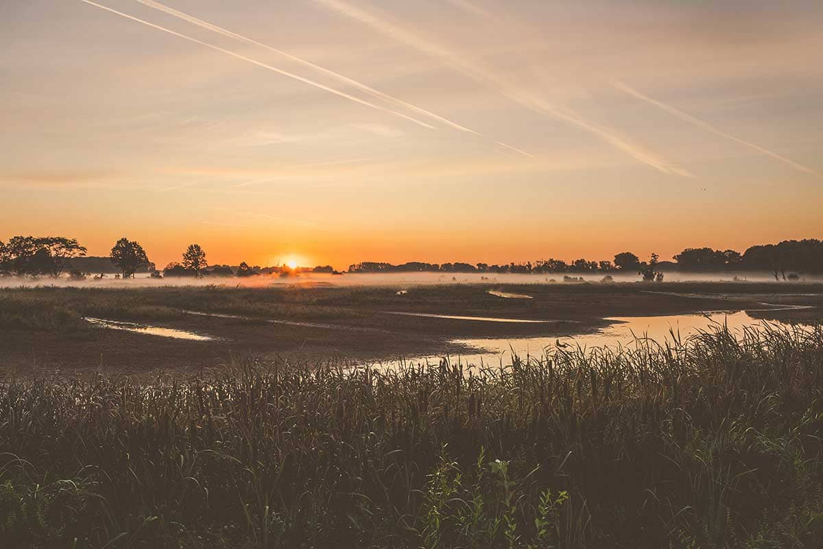 Zonsopgang in Natuurreservaat Bourgoyen-Ossemeersen Gent