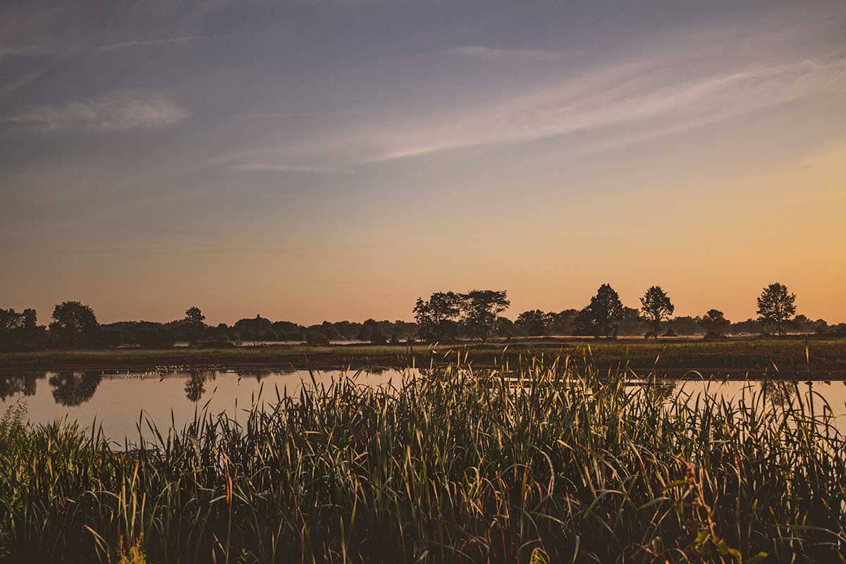 Zonsopgang in Natuurreservaat Bourgoyen - Ossemeersen, Gent, België