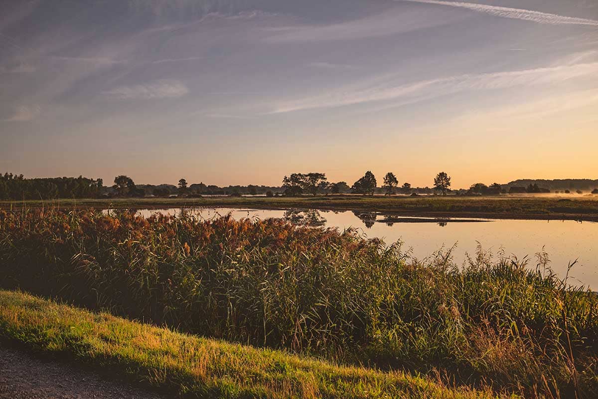 Zonsopgang met zicht op water en groen in Natuurreservaat Bourgoyen - Ossemeersen, Gent, België