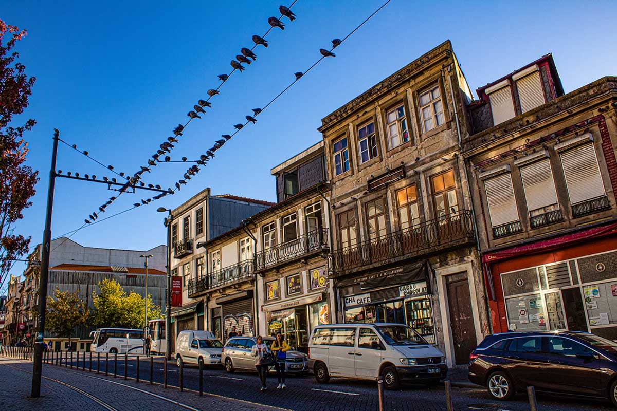 Kleurrijk Porto Straatbeeld | Stadsfotografie | Reisfotografie